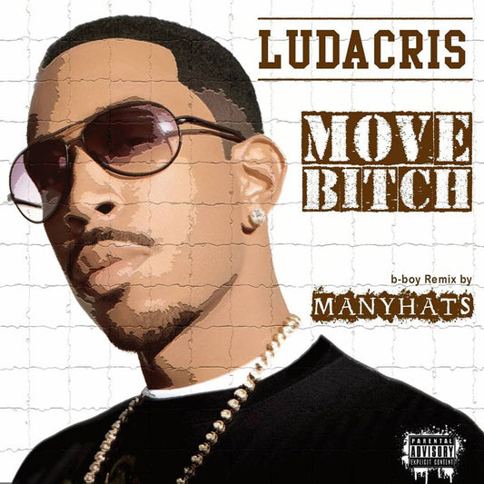 LUDACRIS - MOVE BITCH (MANYHATS REMIX)