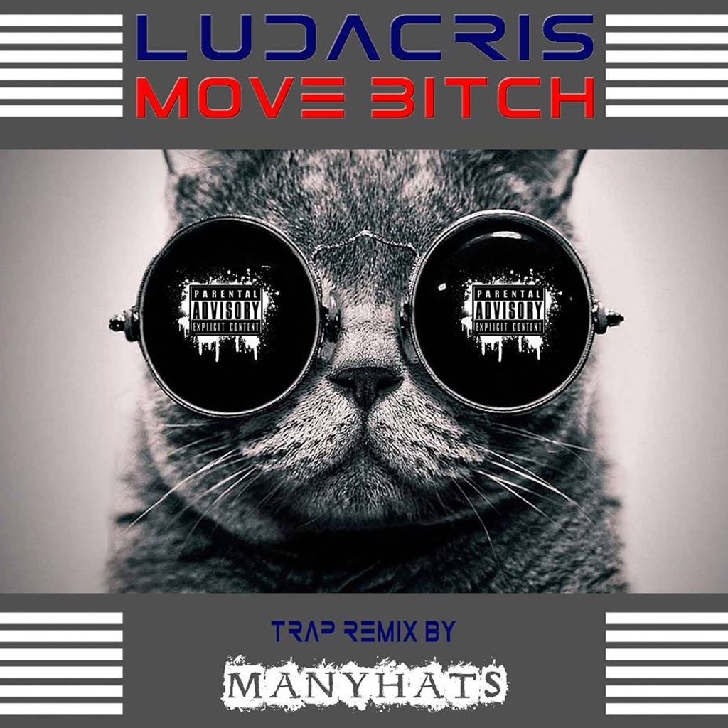 LUDACRIS - MOVE BITCH (MANYHATS TRAP REMIX)